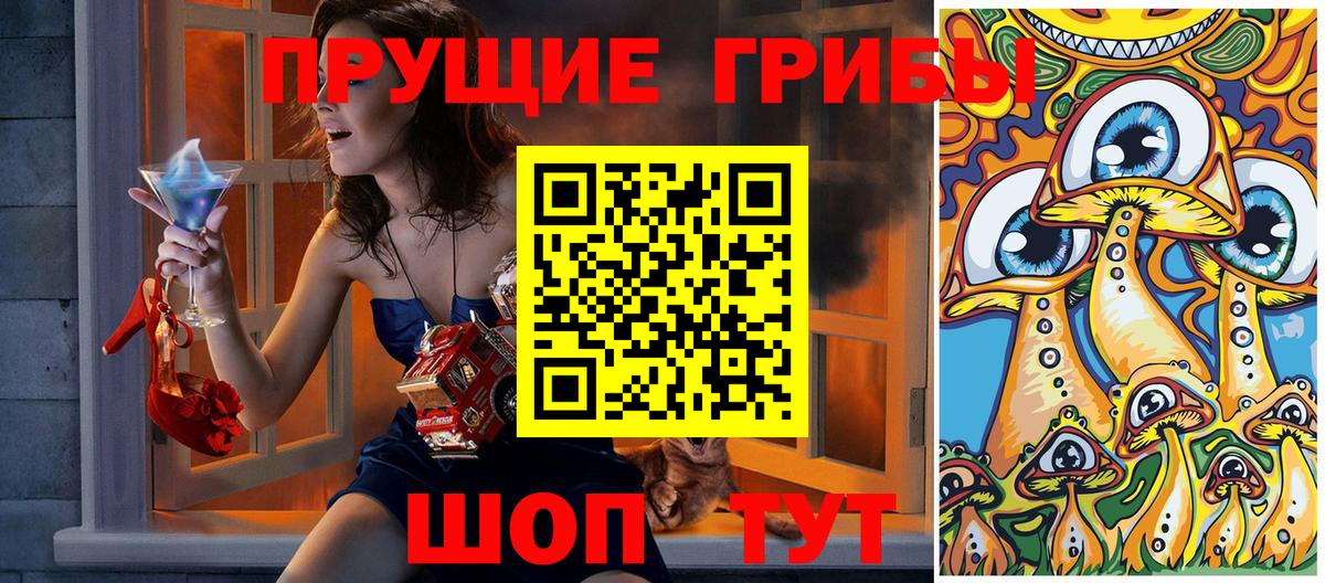 Галлюциногенные грибы Cubensis  Вход с VPN  Псилоцибиновые грибы мицелий  Советск 